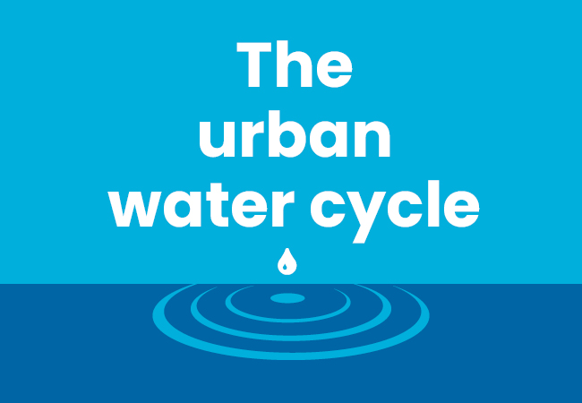 Find out about the urban water cycle