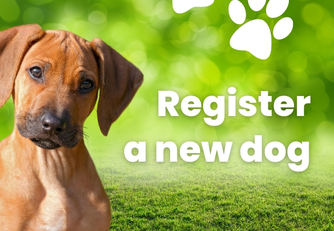 Register a new dog with Bundaberg Regional Council