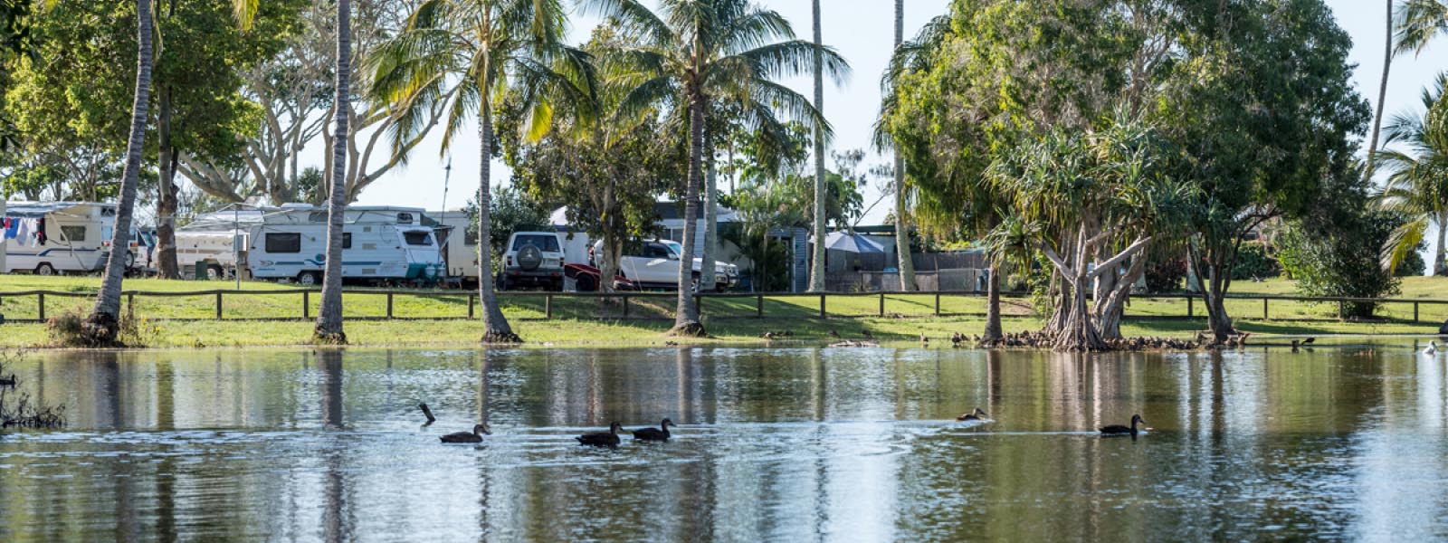 Caravan park by a pond web