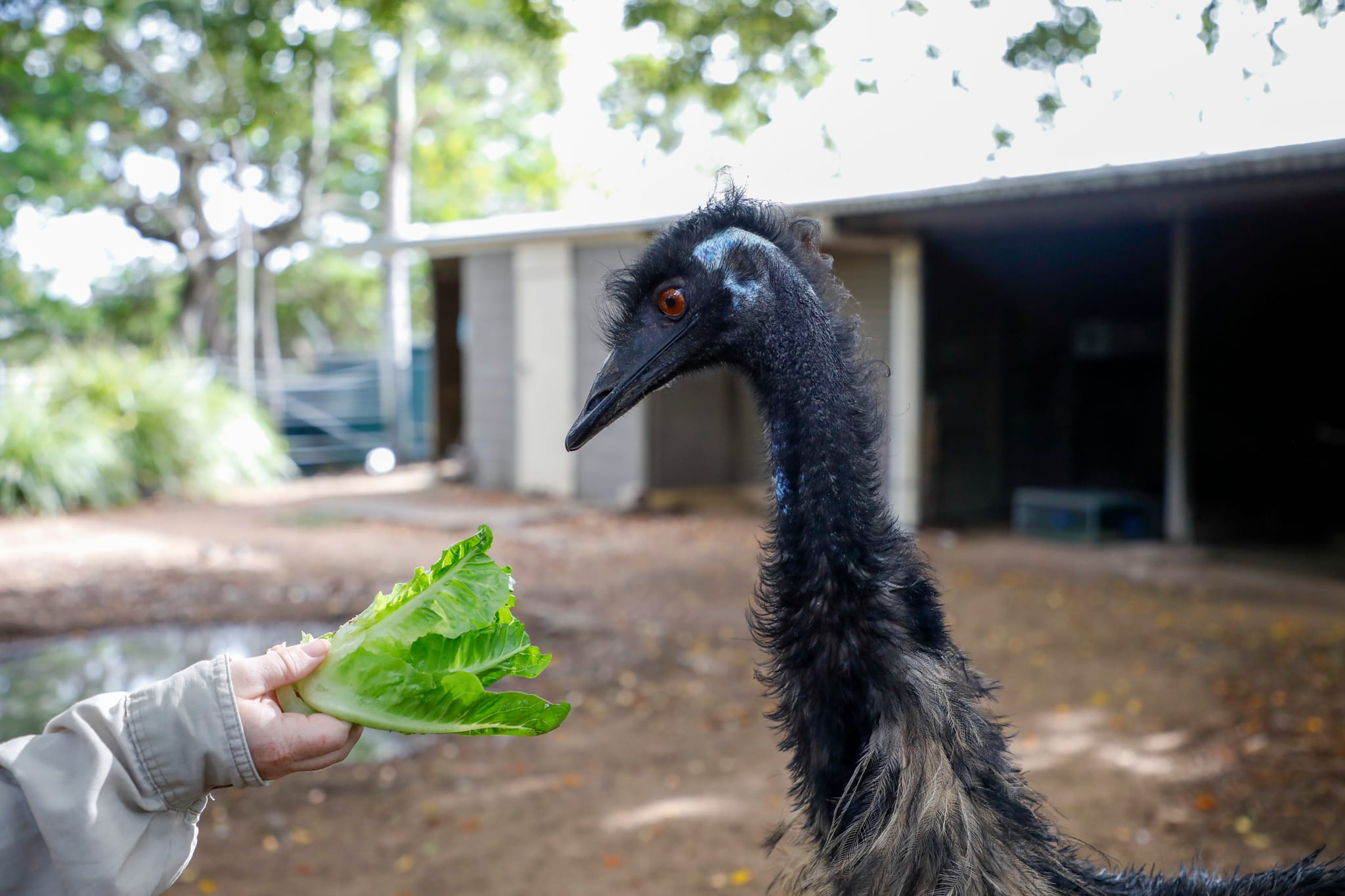 18032024 Alexandra Park Zoo - animals_26-web.jpeg
