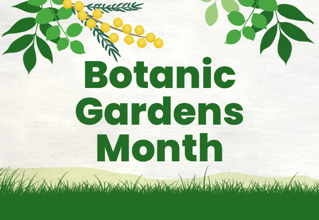 Botanic gardens month homepage tile